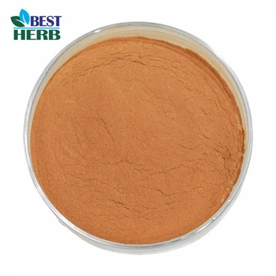Ginkgo Biloba Oulk Powder